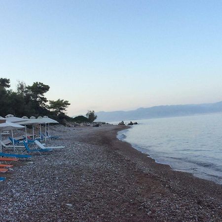 Ferienwohnung Petalidi Fragkos Exterior foto